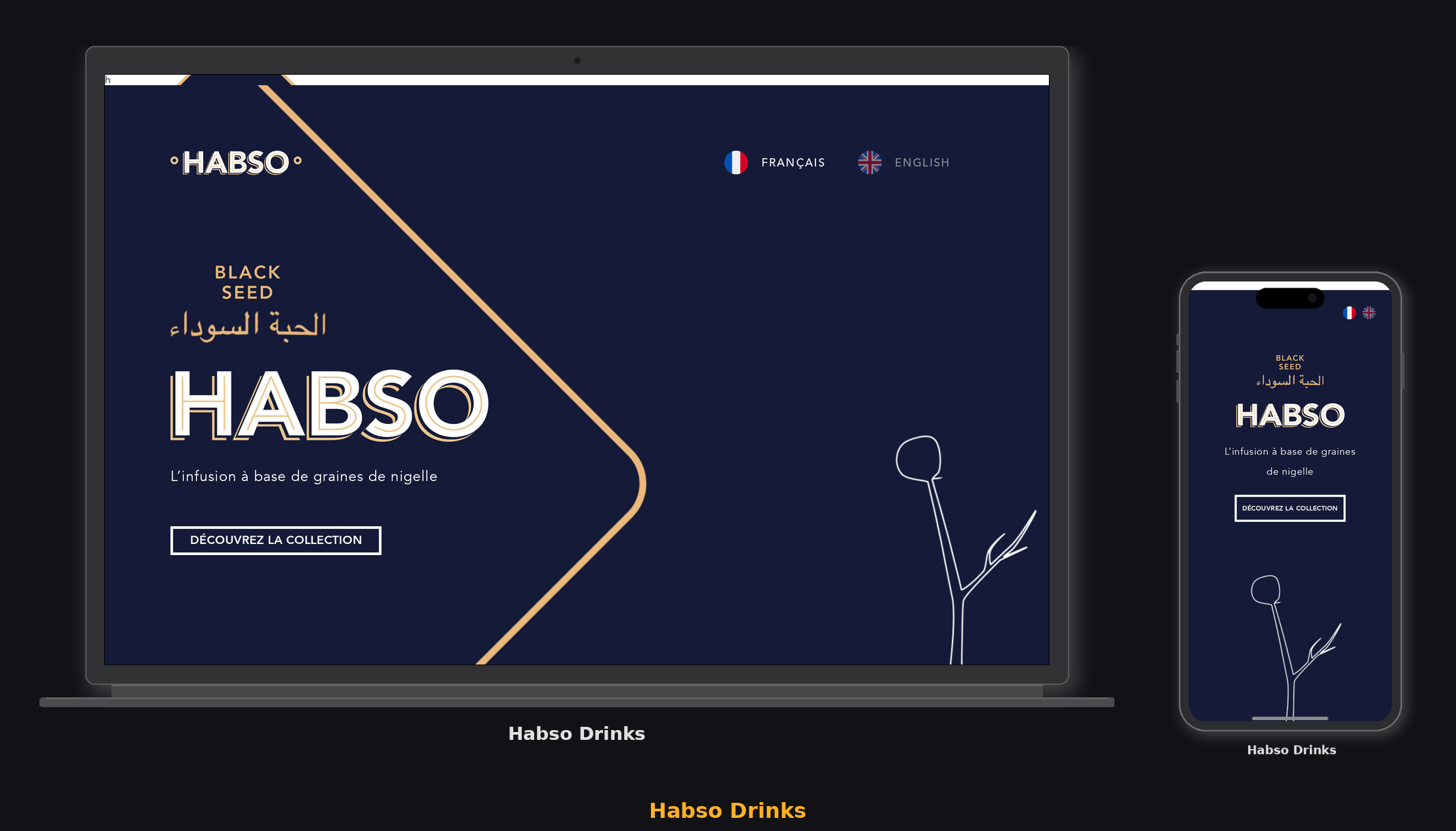 Aperçu du projet HABSO